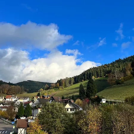Schwarzwaldliebe Apartment Bad Peterstal-Griesbach